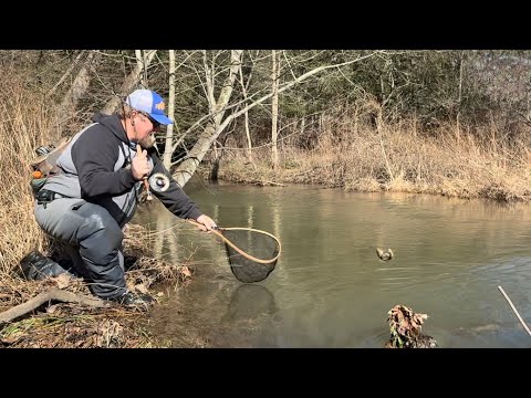 Trout Fishing April 2026/ Palomino's and Wedding Eggs
