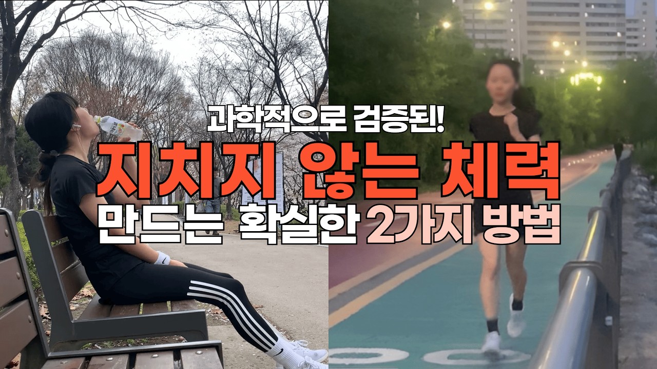 체력을 최상으로 끌어올리는 가장 빠른 2가지 방법 (#체력강화, #체력향상 #체력기르는운동) - YouTube