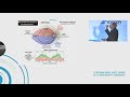 Prof  Donald C.Hood, PhD, Diagnosing & understanding glaucomatous damage using single ssOCT scan