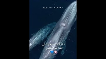 وذا النون اذ ذهب مغاضبا.. اسلام صبحي|مقطع قصير،حالات واتس اب، آيات قصيرة