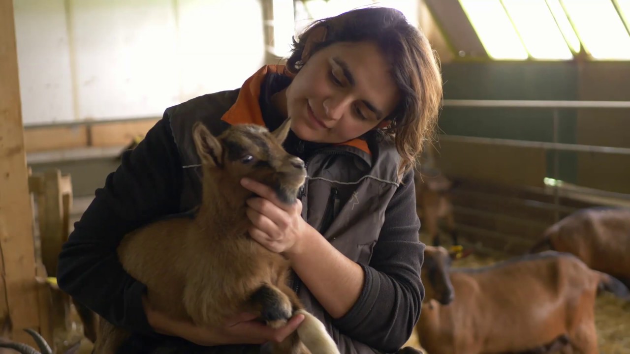 Portrait de Milène, fomagère et éleveuse à la Chèvrerie du Tartre Morin