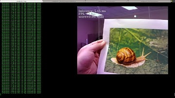 Coral Edge TPU running Gstreamer example on Gateworks Newport SBC