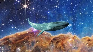Stuck in a Space Whale 💫🐋
