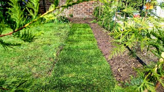 Laying Turf  Instant Perfect Green Grass