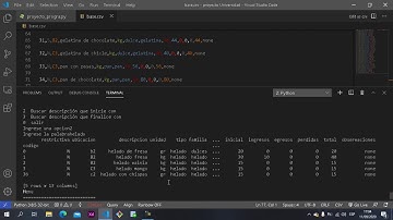 Proyecto Inventario Python,