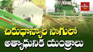 Millet Harvesting Machine | Organic Millet Cultivation | hmtv Agri