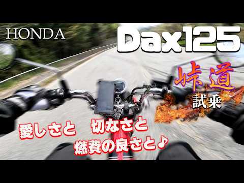 SUNSTARPREMIUMRACING モンキー125 GROM DAX125 MONKEY125(JB02/03-05) GROM(JC92) DAX125(JB04) SUNSTAR製