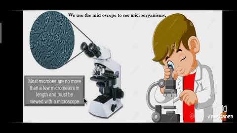 6th Science,L-5,Living World of Animals,Part-1