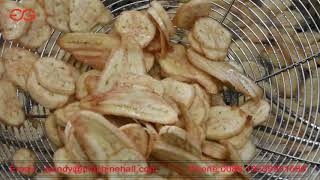 Small Scale Plantain Chips Processing Machine