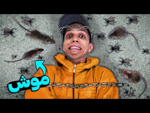 رو در رو شدن با 10 تا از ترسام در 24 ساعت