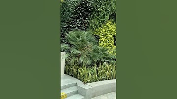 #amitraj official # banglore new airport video #