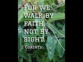 2 Corinthians 5:7 #bibleverse #faith