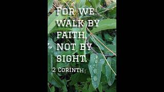 2 Corinthians 5:7 #bibleverse #faith