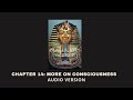 Chapter 14: More On Consciousness - Blackroots Science Vol. 2