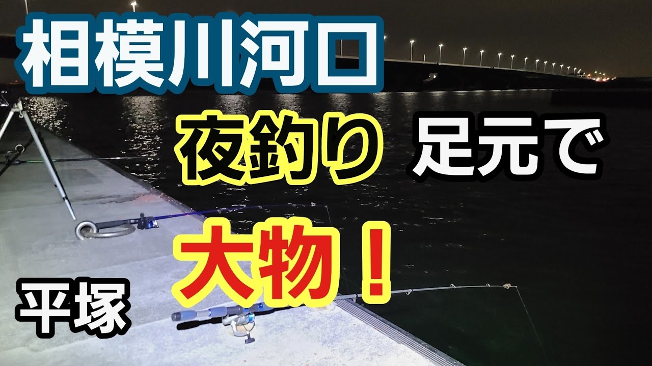 平塚 相模川河口 コンパクトロッドでまさかの大物 夜釣り 足元でオキアミに 22年4月下旬 小潮 Youtube