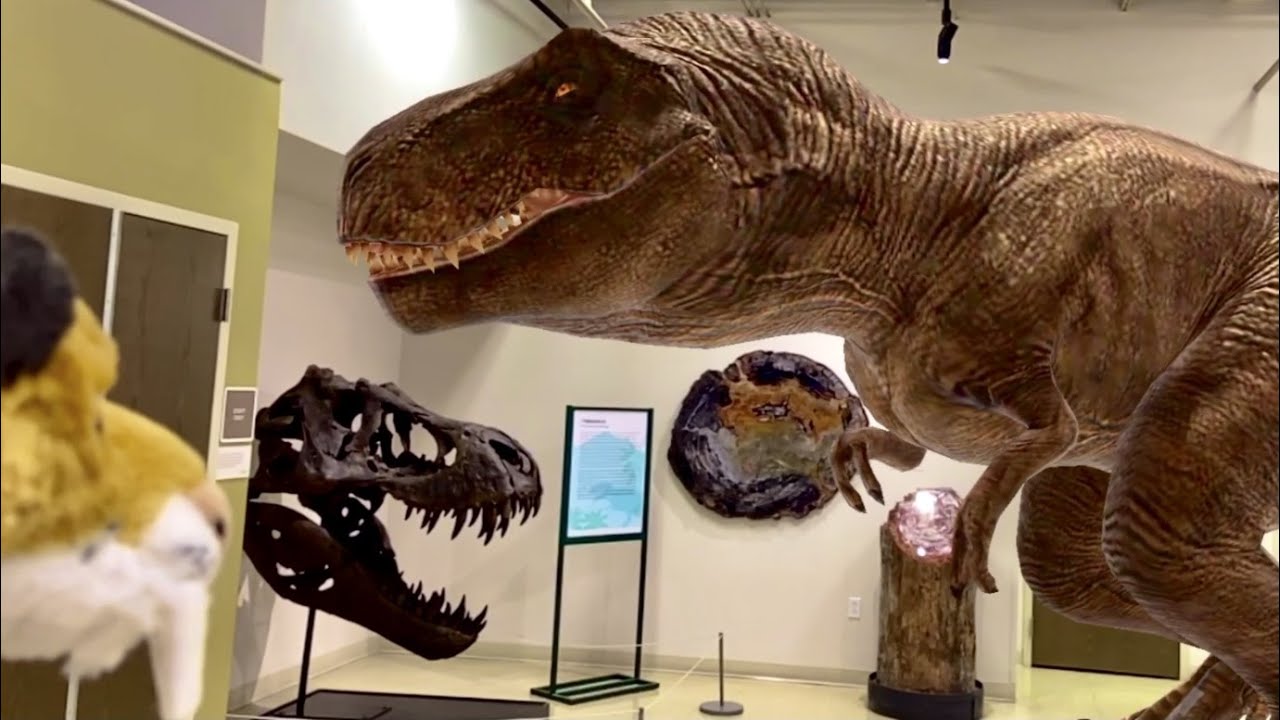 Smilo’s Earth Day Special at the Las Cruces Museum of Nature and