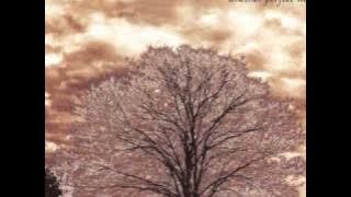 Peter Cetera - Feels Like Rain