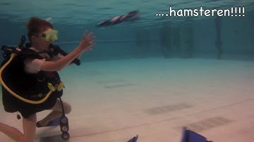 PADI DSD Intro duik Quint 8 jaar