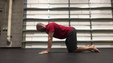 Quadruped Hip Rotation