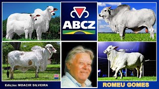 ZEBU JOIA BRASILEIRA com ROMEU GOMES, edição MOACIR SILVEIRA