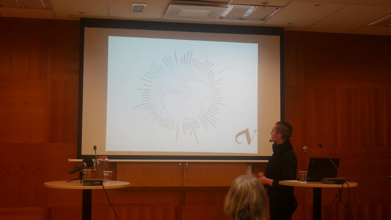 Djurens känslor och upplevelseförmåga – Lena Lindström