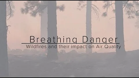 Breathing Danger: Wildfires and Their Impact on Air Quality