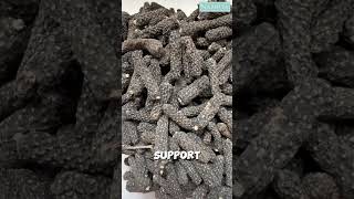 Nature's Finest Ingredients to Support Liver Health 🛡️ | Namhya #Shorts