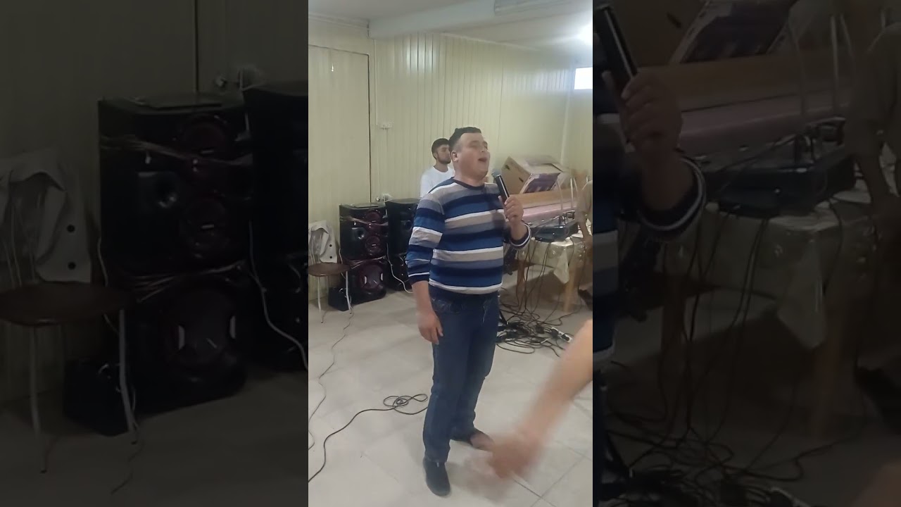 15 ноября 2025 г.