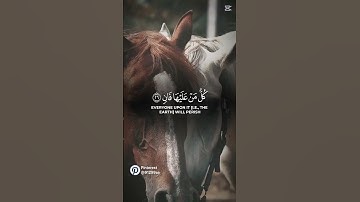 قرآن كريم #اللهم_صل_على_محمد_وال_محمد #اكسبلور_explore #اكسبلور #المصحف #لايك #الرحمن
