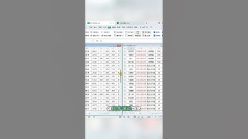 对比两个表格，千万不要再手动来回切换了，同事看到会... #wps #excel #财商知识 #trending #遊戲 #秘訣 #游戏 #思維大全