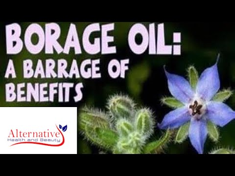 Video: Kan Borage Seed Oil Hjälpa Din Klimakterium?