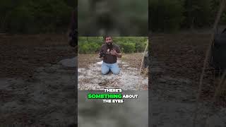 The Intelligent Coach Whip Snake A Dynamic Hunter of Various Prey