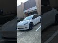 Tesla Model Y Gets New Shoes! 19" TSR &amp; Continental ExtremeContact Extra Wheel Curb Protection!