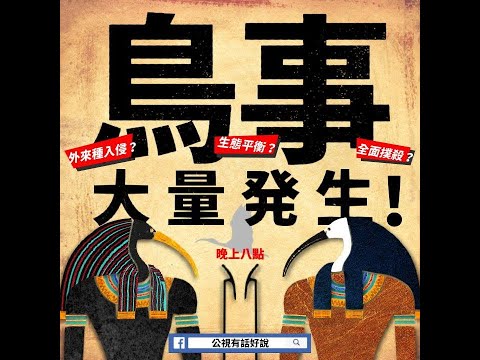 台灣-有話好說-20190314 埃及聖䴉爆量繁殖！神鳥來台是福是禍？