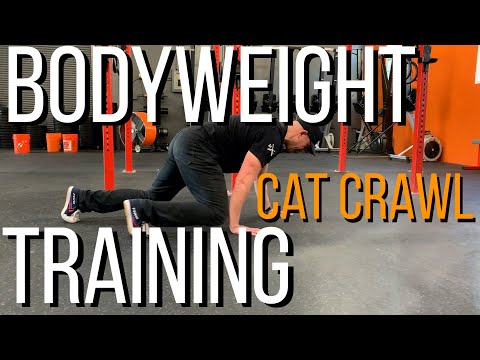 Body Weight Training - Cat Crawl - a total body athletic developer that requires no equipment