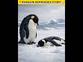 🔥 Penguin Depressed Story 🤯 #telugufacts #shorts #trending