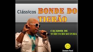 Bonde do Tigrão - As Melhores
