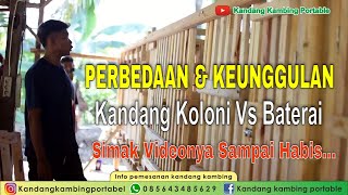 Perbedaan Dan Keunggulan Kandang Kambing Koloni Vs Kandang Baterai