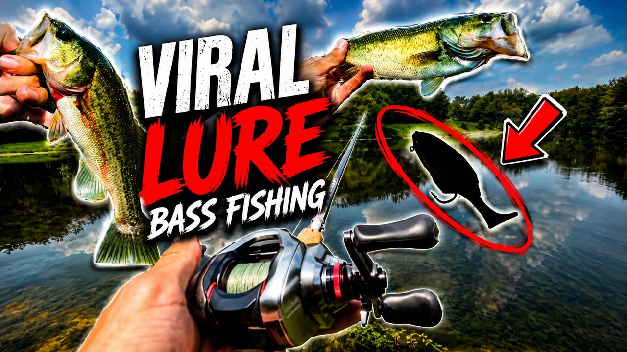 Mystery viral lure fishing for bass!