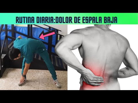 Rutina diaria para