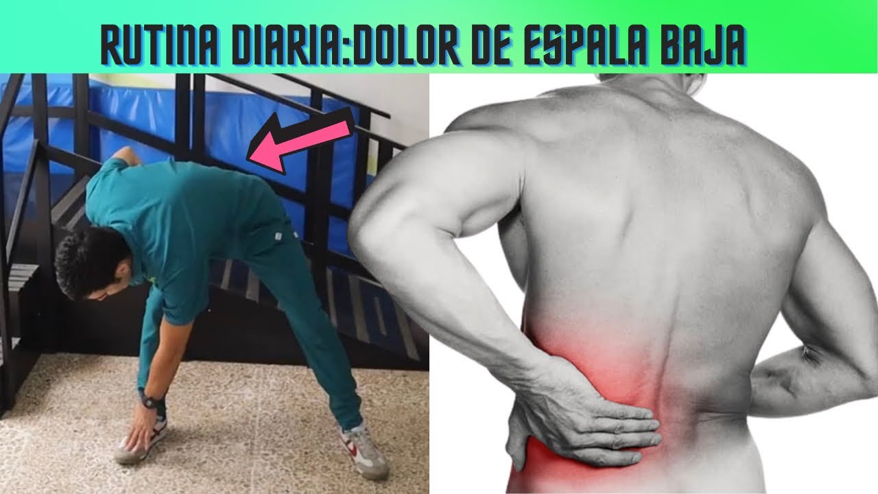 Rutina  diaria para aliviar el DOLOR DE ESPALDA BAJA/cómo desbloquear la espalda baja