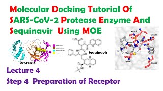 Molecular Docking tutorial of SARS-CoV-2 protease enzyme and Sequinavir  Using MOE Step 4