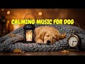 Dog Calming Music for Separation Stress 🐶💤 | 12 HOURS of Sleep Aid for Restless Home Alone Dogs