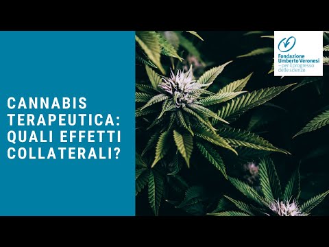 Video: Ci Sono Benefici Della Marijuana Per Uso Medico?
