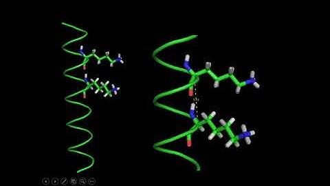 Chapter-4-Protein structure- Part-2