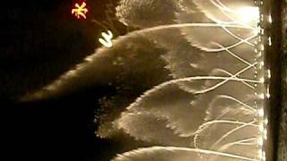 DSCN0486.avi