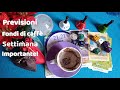 ❤️☕ Dal 15 al 21 dicembre. La settimana dei MIRACOLI!  FONDI di CAFFE' e PREVISIONI TAROCCHI.  