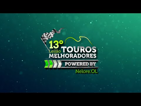 13º Leilão de Touros Melhoradores Nelore OL - Edição Virtual