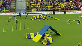 AWC 2018 Large Individual Agility screenshot 5