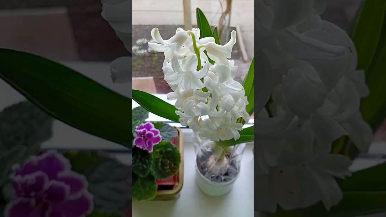 Утро воскресенья🌞. Поздравляю с праздниками!💐 Девочкам💌